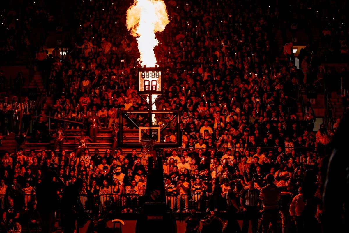 🕺🏽 tweet media