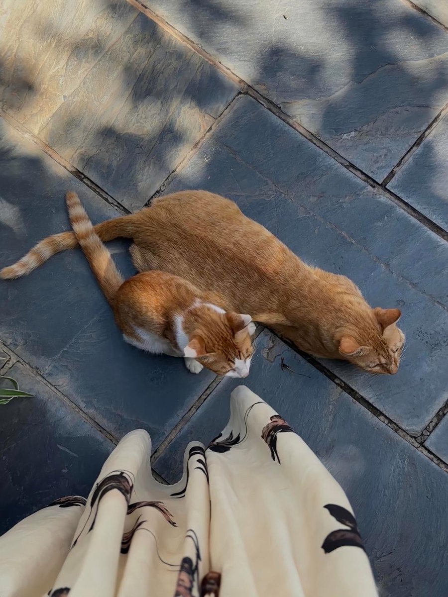 KeshiaLacroix's tweet image. Ditched my 2-hour daily commute for a 10-minute walk to work. Now I arrive calm, with extra time for morning coffee  #LifeShift #SmallWins