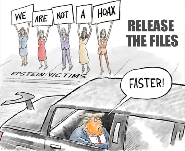 EmBeesWeb tweet media