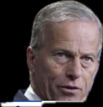 AvaArmstrong,🇺🇸 Author tweet media