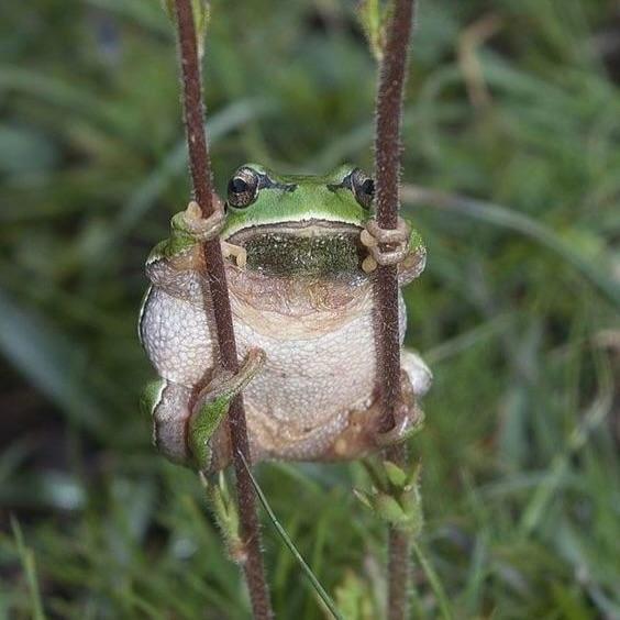 totallybrad tweet media