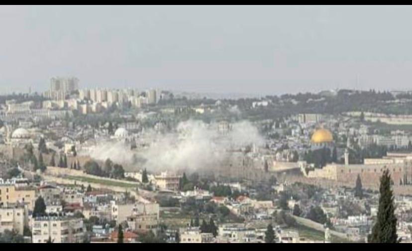 Blum cathy tweet media