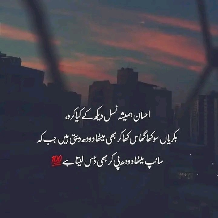 akmalabbasi160's tweet photo. https://t.co/BfvAUY84bI