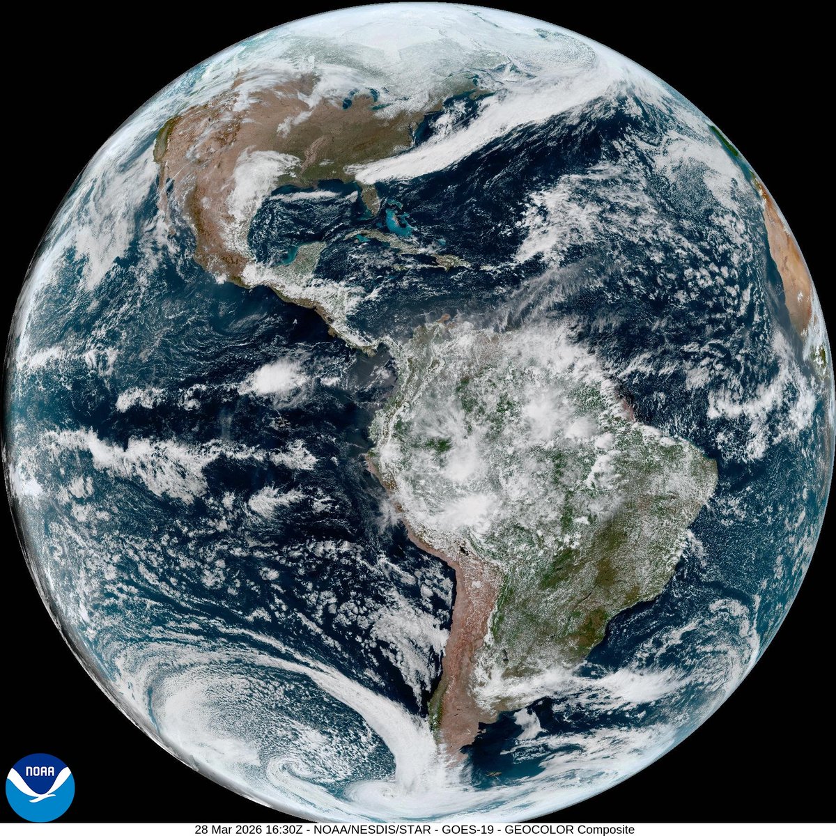 Stream Martial tweet media