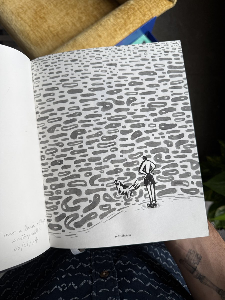 fernando tweet media