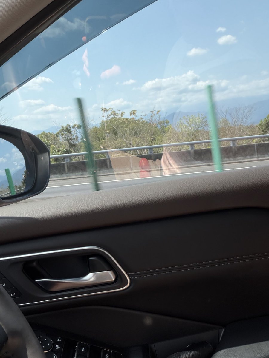Mikescorpi's tweet photo. Who else like to play in the car? https://t.co/yn37W4Uyz1