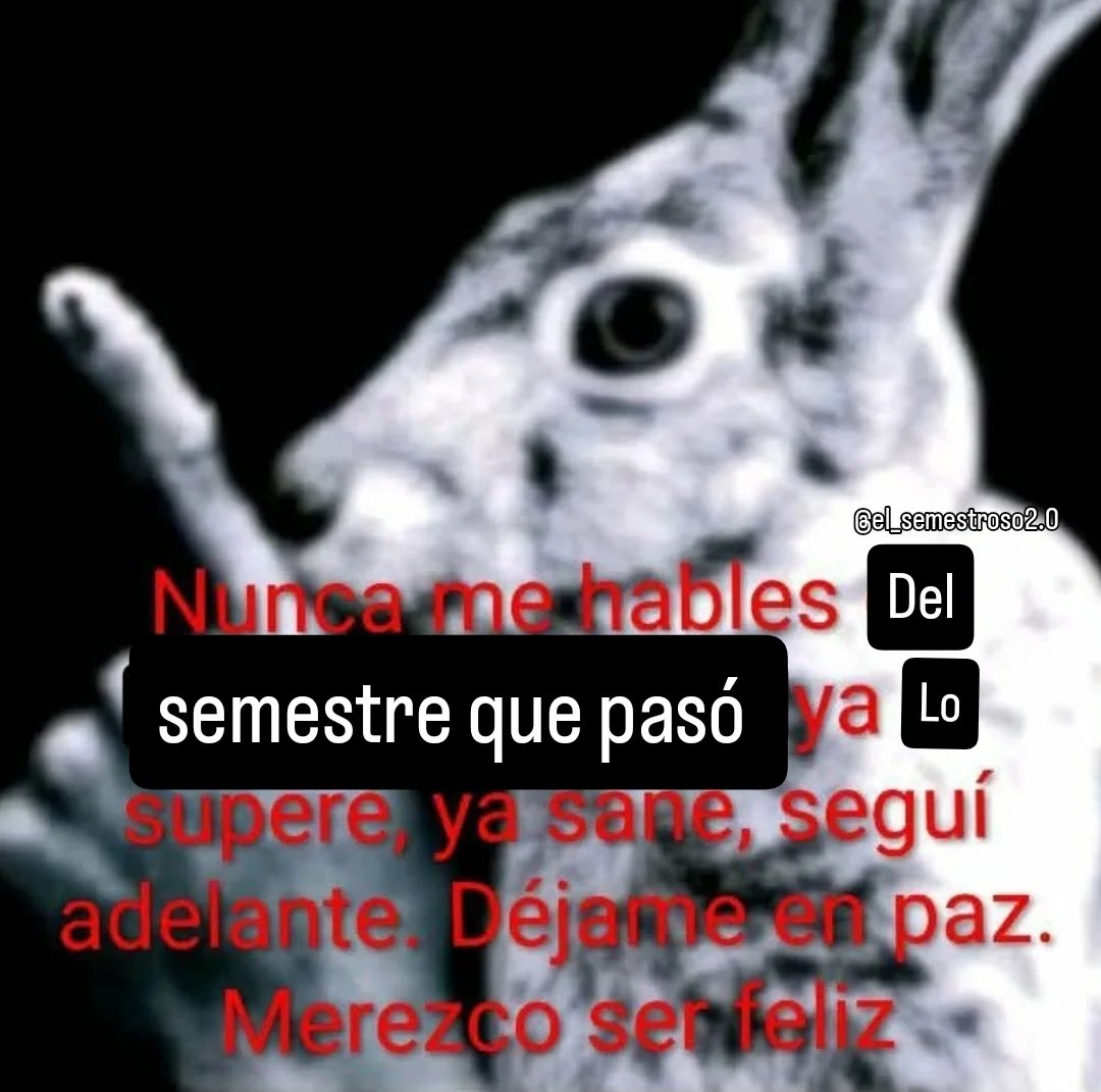 Gina Andri tweet media