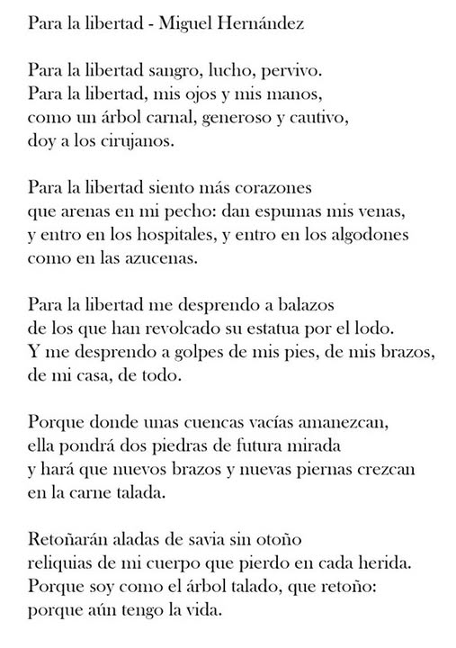 literland (@literlandweb1) on Twitter photo 