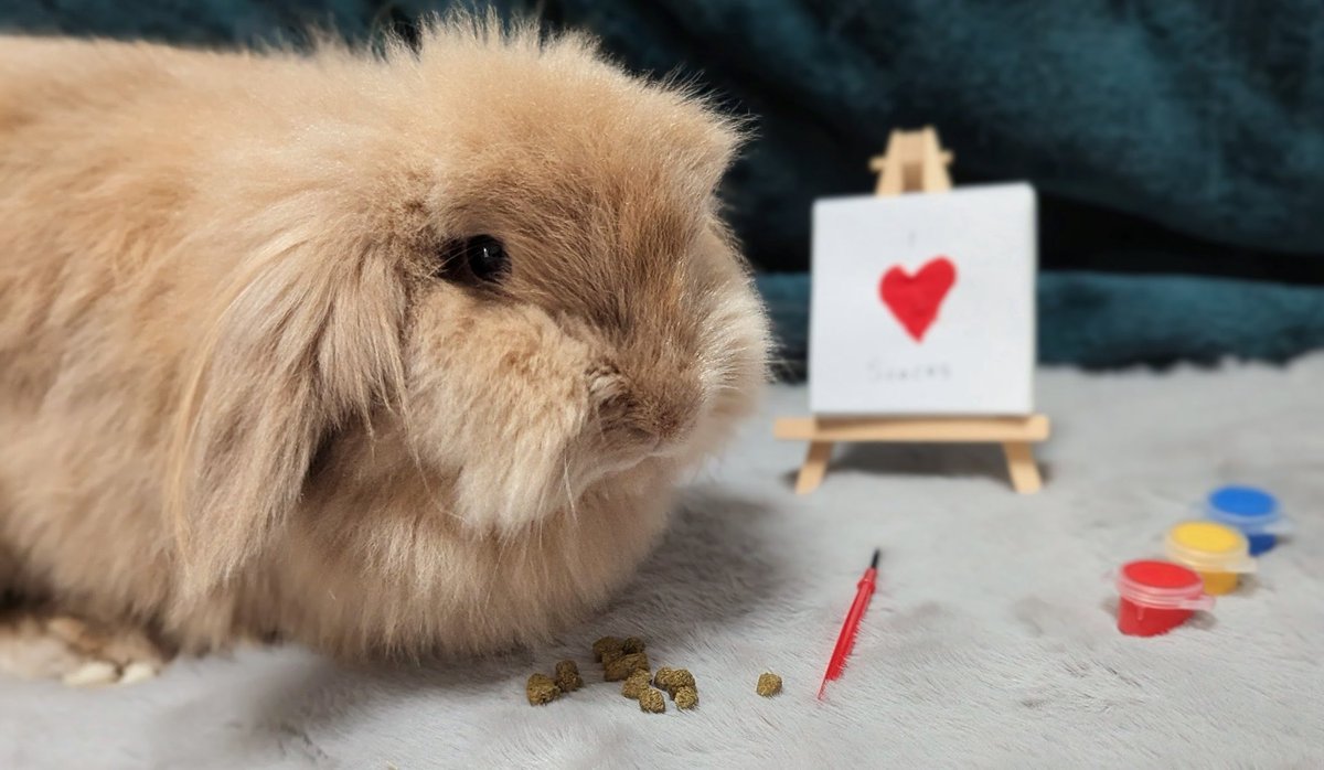 Only Fawns tweet media