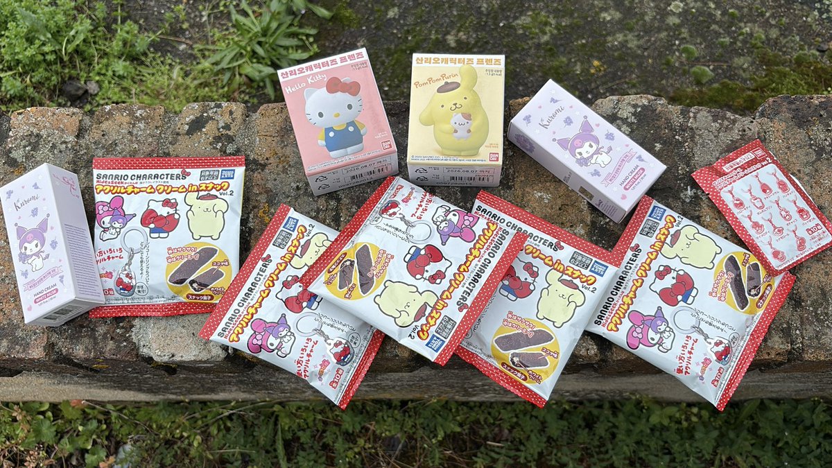 raya ᢉ𐭩 tweet media