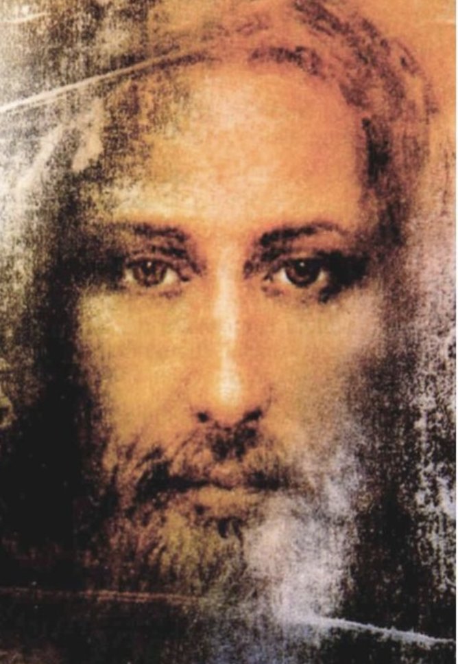 Cardolan⚜️ tweet media