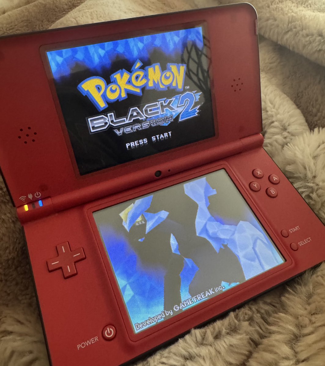 DurenSZN tweet media