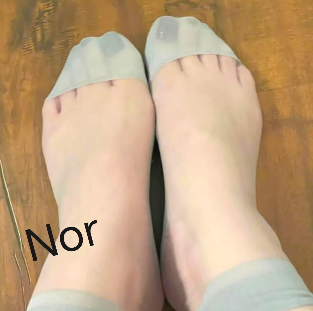 الملكه نور tweet media