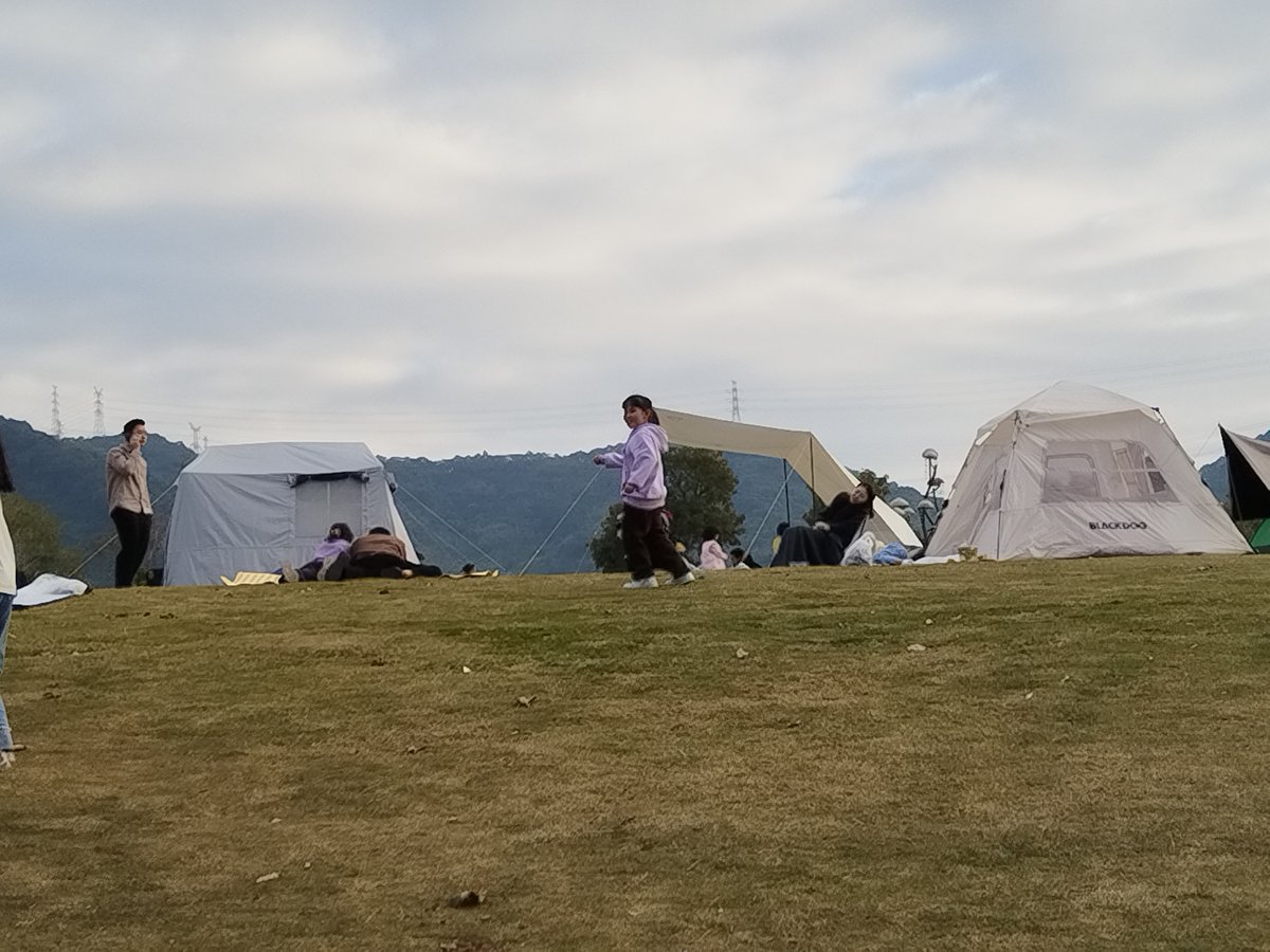 Robert Dallas tweet media