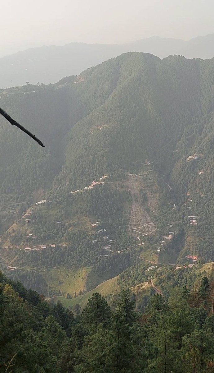 Bint_e_Shabbir tweet media