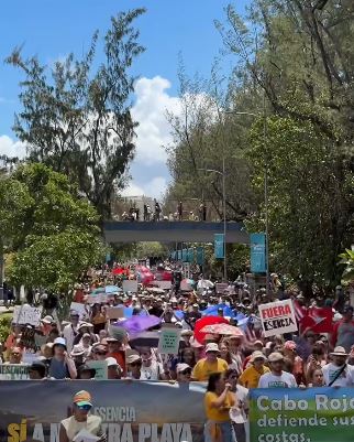 SandraRodríguezCotto tweet media