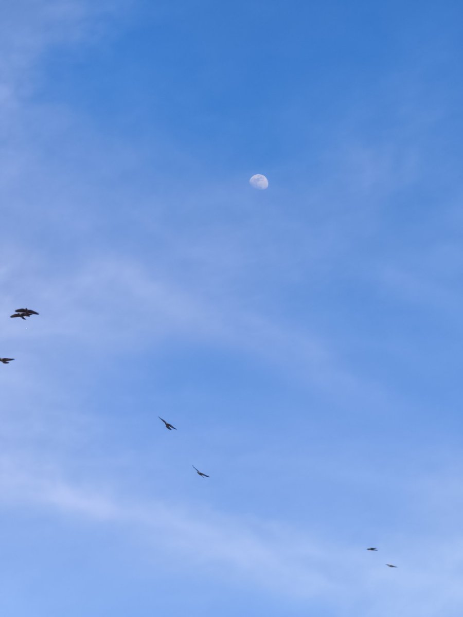 Fatma Açıkgöz tweet media