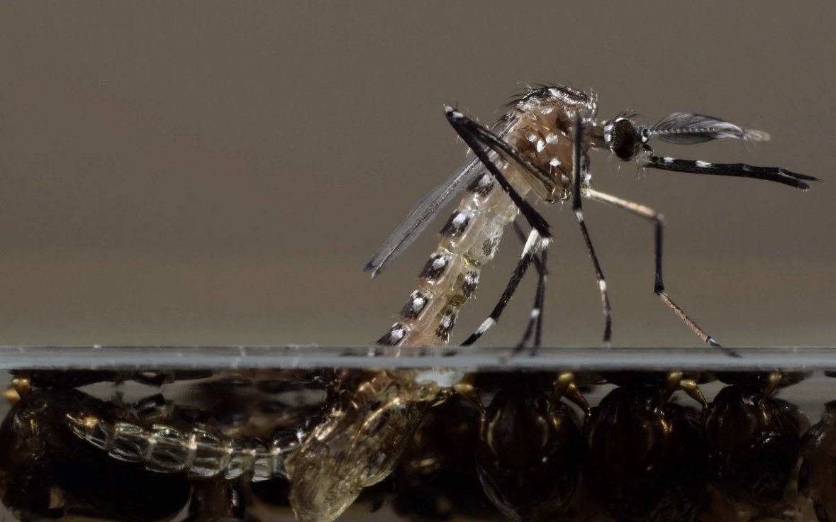 Haber Bandı tweet media