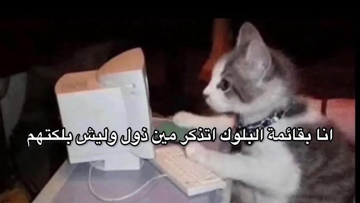 Mohammed🏃🏻‍♂️ tweet media