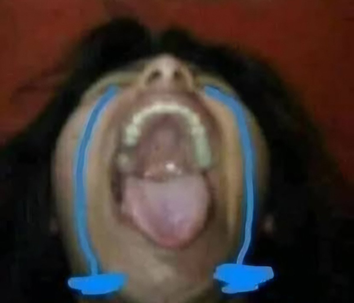 BruXD154 🇨🇱 tweet media