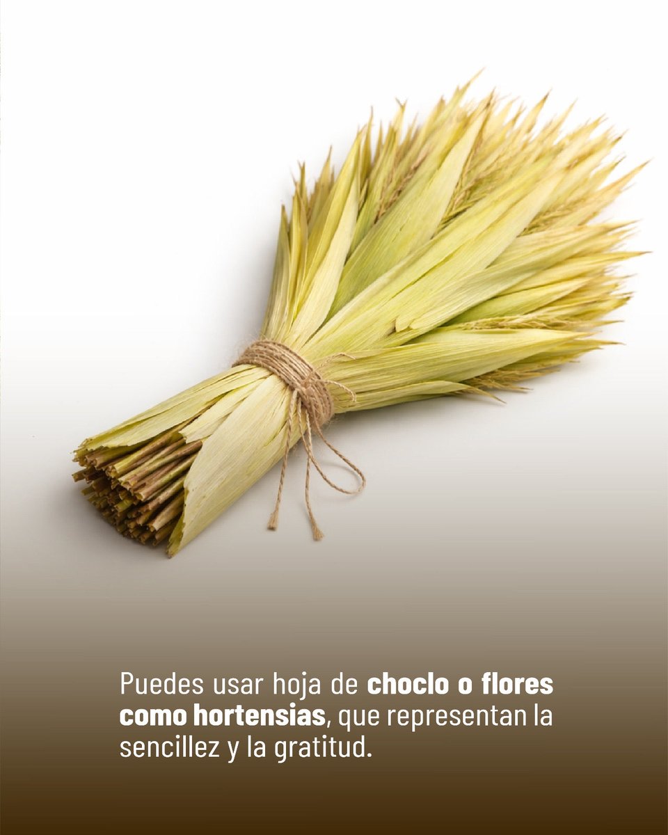 Ministerio de Ambiente y Energía tweet media