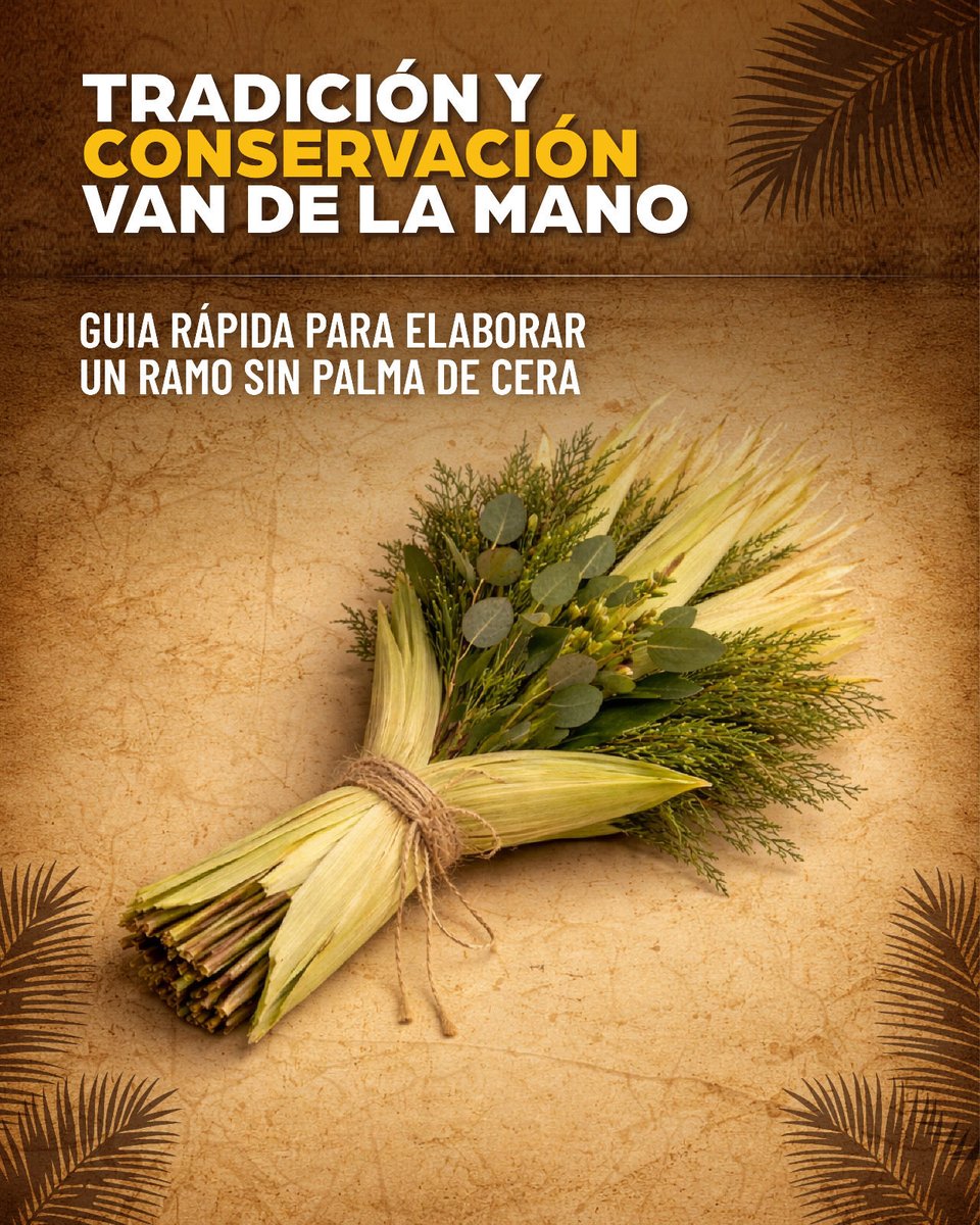 Ministerio de Ambiente y Energía tweet media