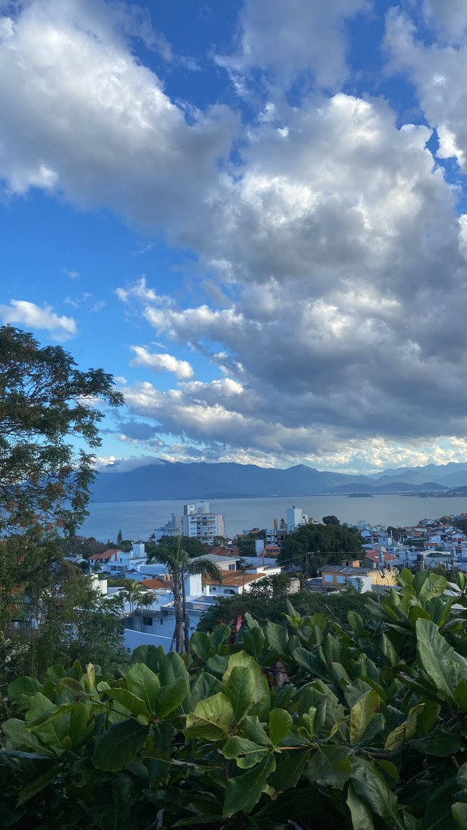 gretha 💐 tweet media