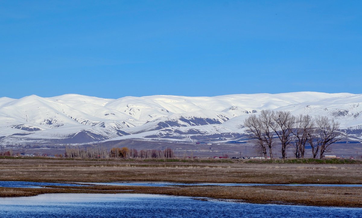 Nihat Kılıçoğulları tweet media