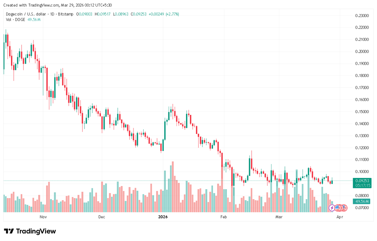 Crypto Invest Now tweet media