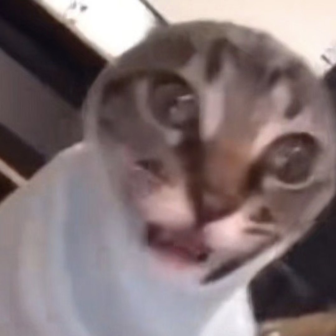 烤虚拟鱼 tweet media