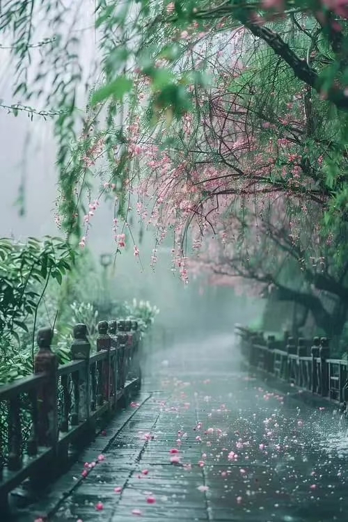 Dark nitgh tweet media