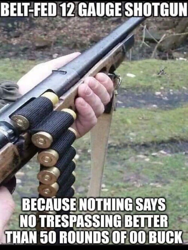 Guns Daily tweet media