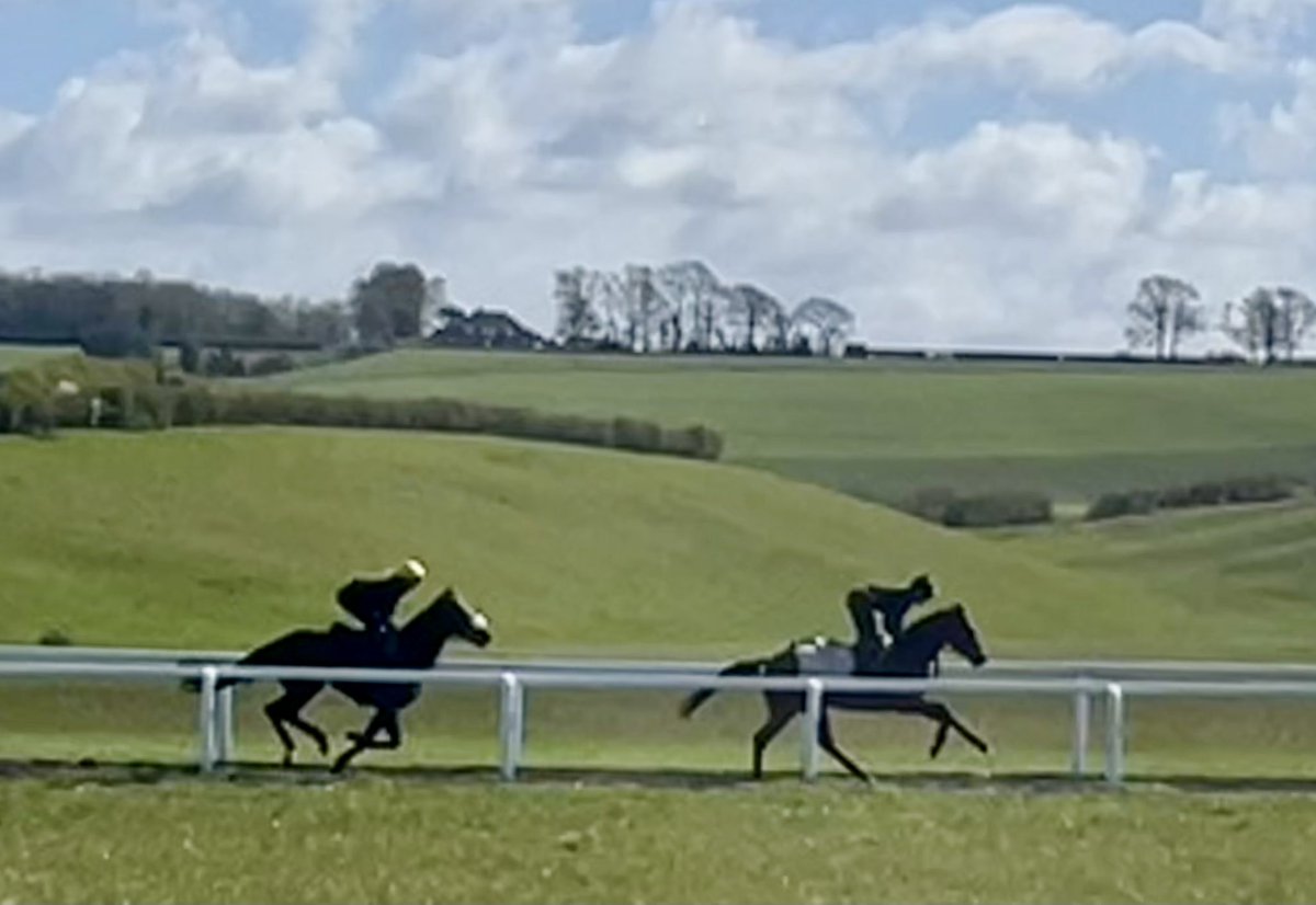 @BruffBT 🇺🇦 tweet media