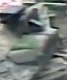 Federico Borsari فێدریکۆ بۆرساری tweet media