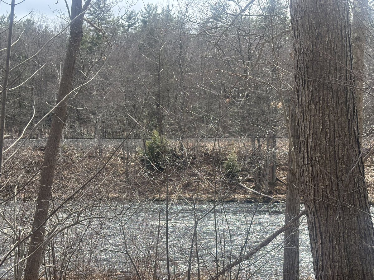 iamjustyaz's tweet photo. Traveled almost 3 hours to go to this hiking trail and I’m happy I did because I came across this beauty #Hiking #Nature #پیپلز_پارٹی_چور_ہے #Fitness #HealthyHabits https://t.co/HKUGXEcT55