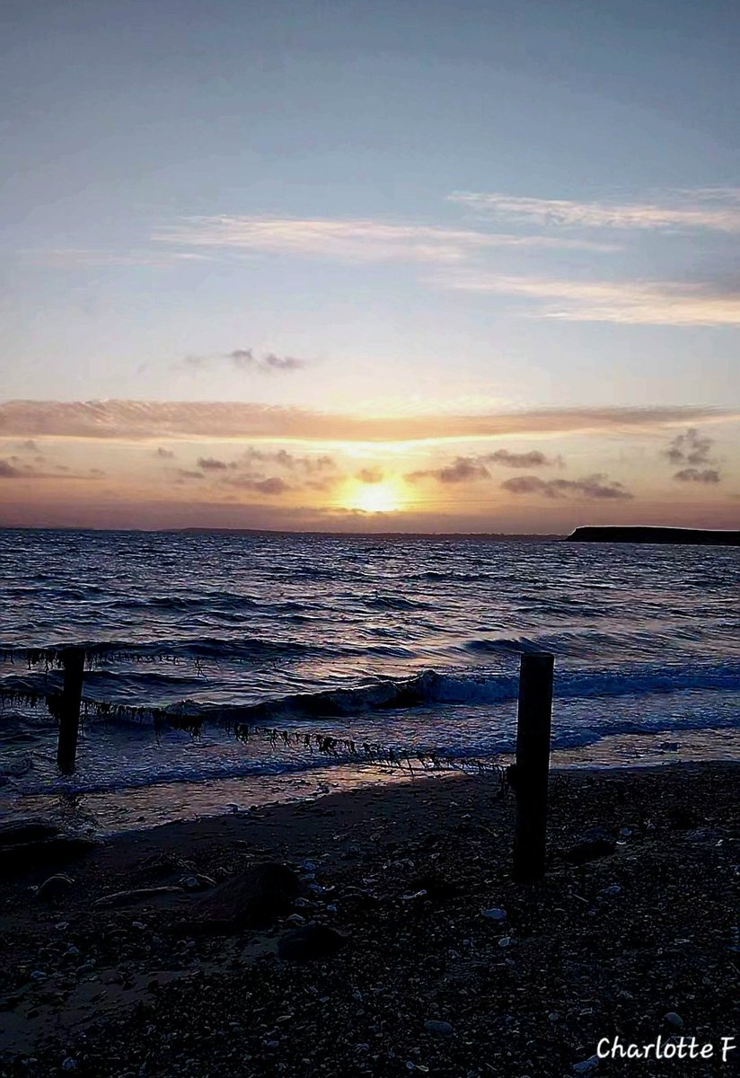 Charlotte tweet media