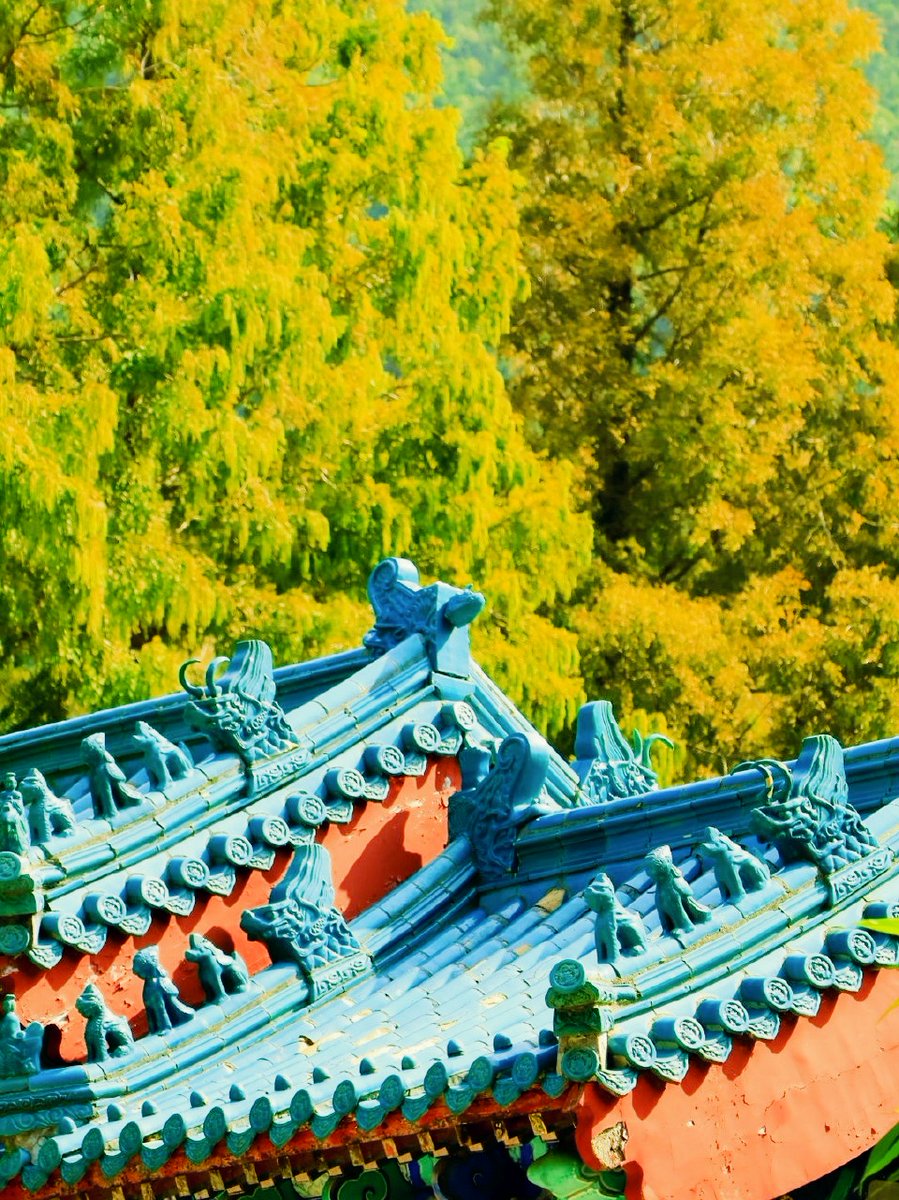 dylan duchenes tweet media