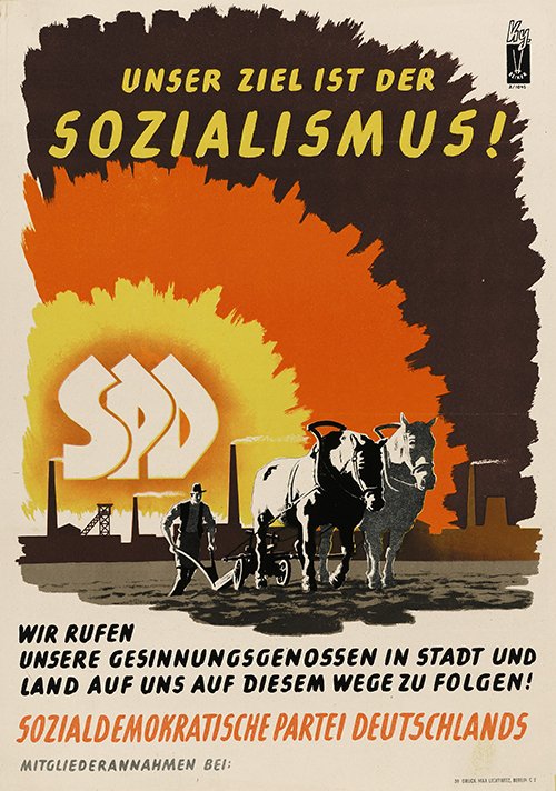 Splanchnologist tweet media