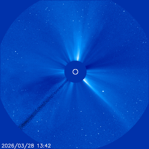 Stream Martial tweet media