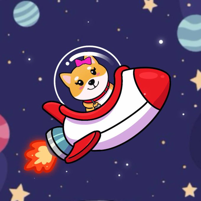 Sara Chain tweet media