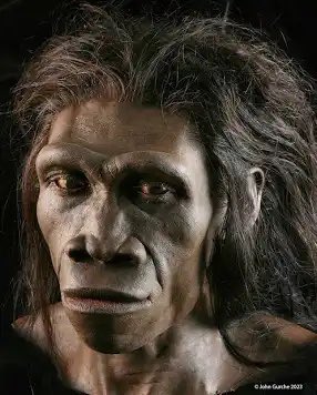 Chidera Sunday tweet media