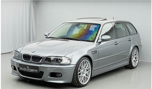 rabbit 🌳 tweet media