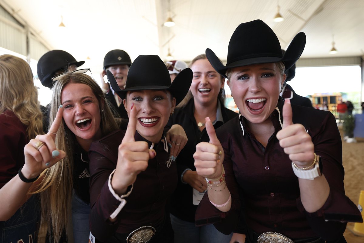 Texas A&M Equestrian tweet media