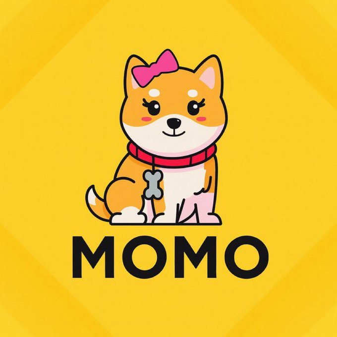 Sara Chain tweet media