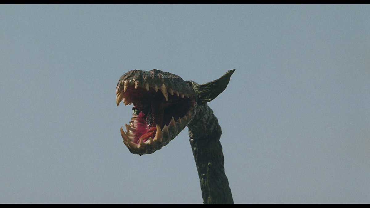 Mr. Goji  tweet media