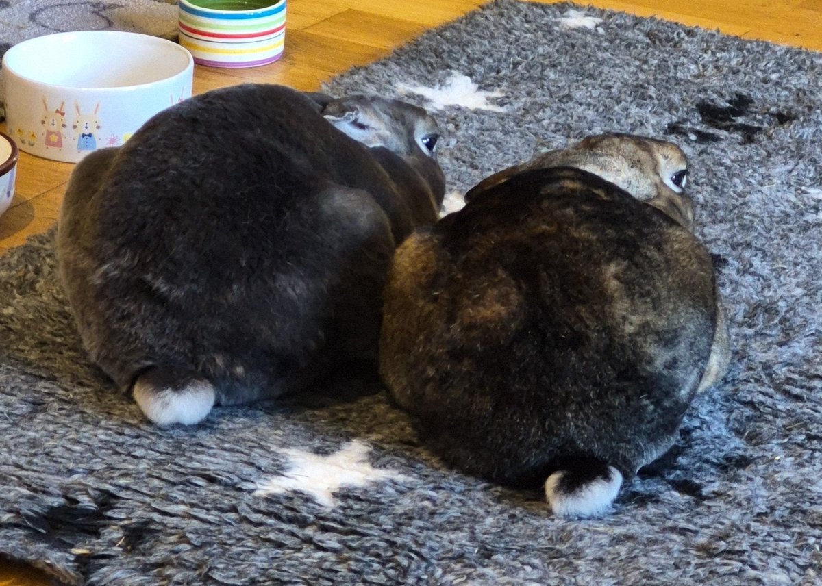 Pip 🥛 tweet media