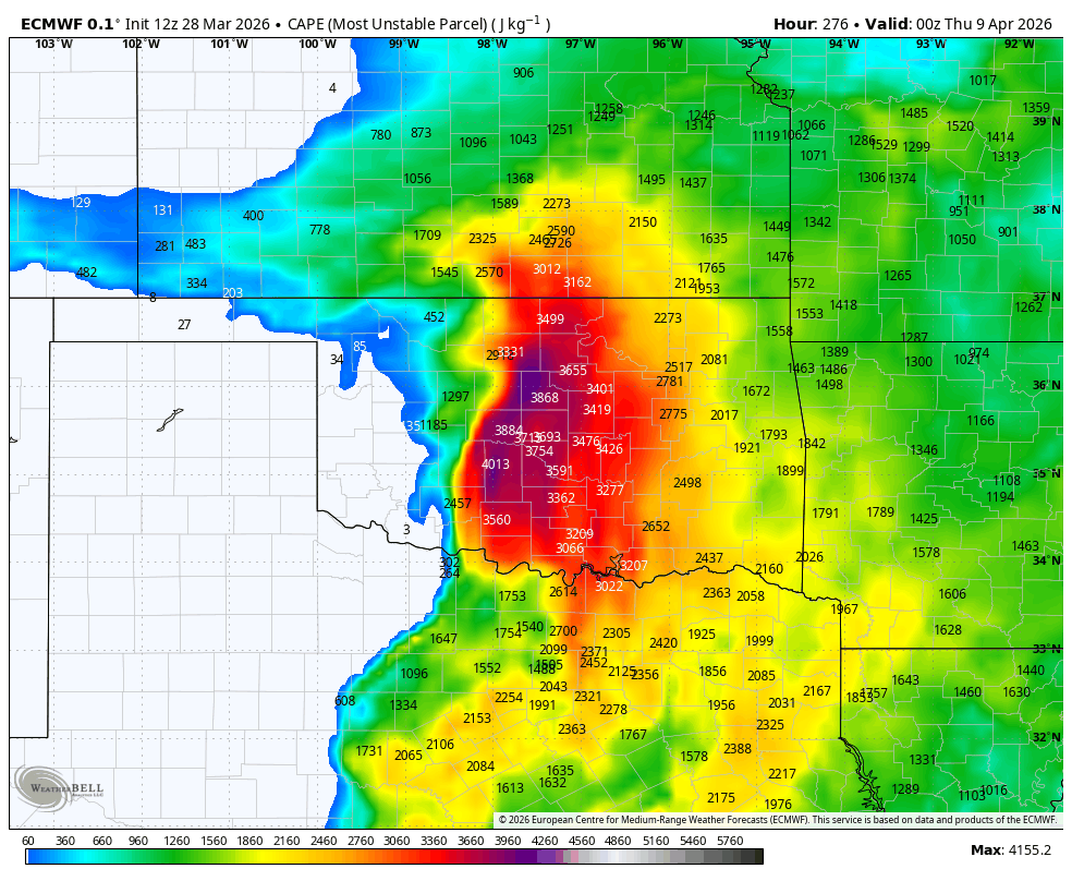 Bryce Shelton tweet media
