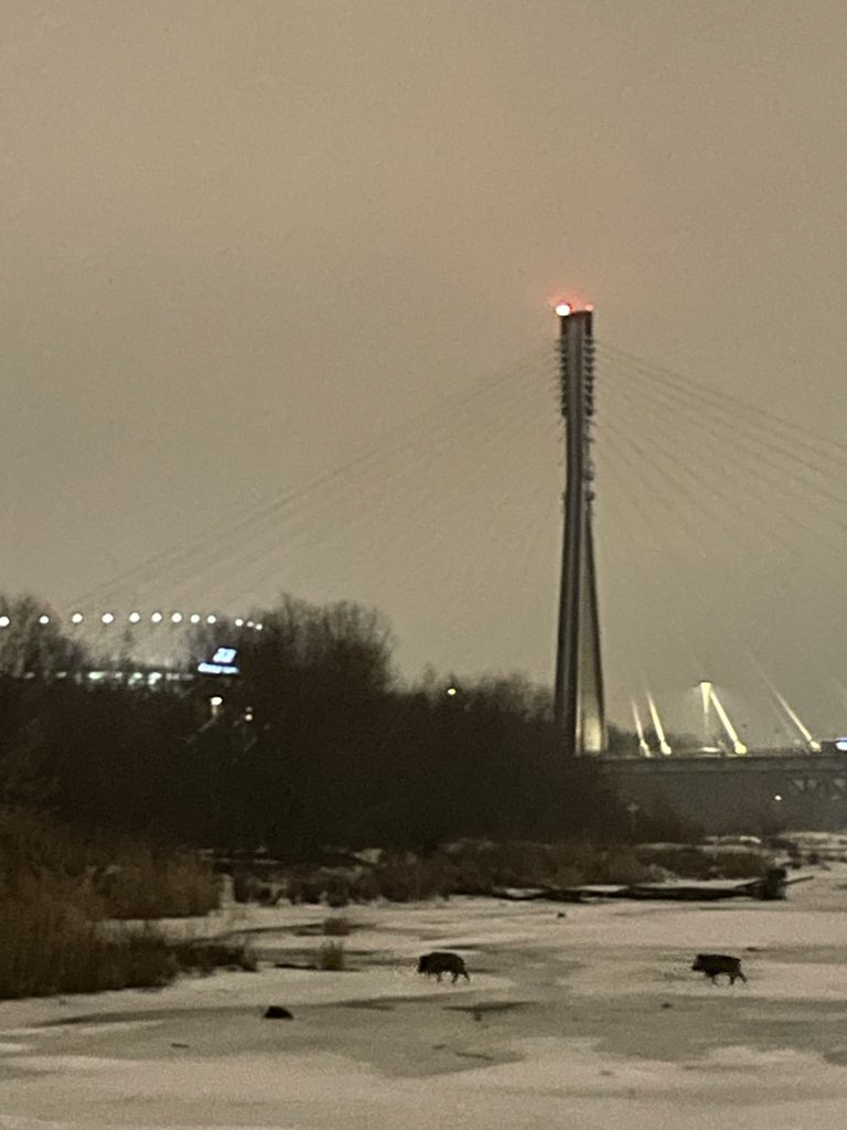 Adam Czyżewski tweet media