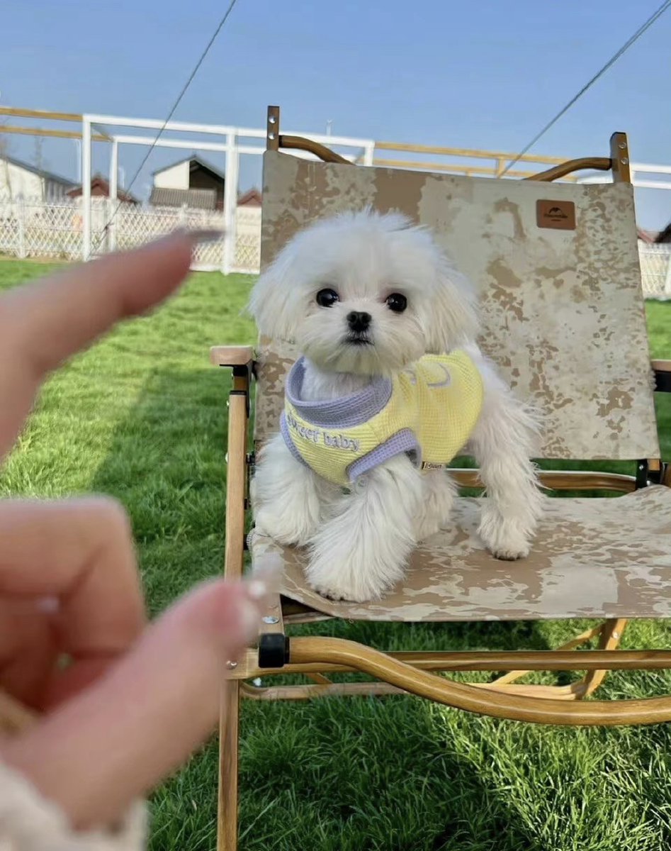 luciednkatembo tweet media