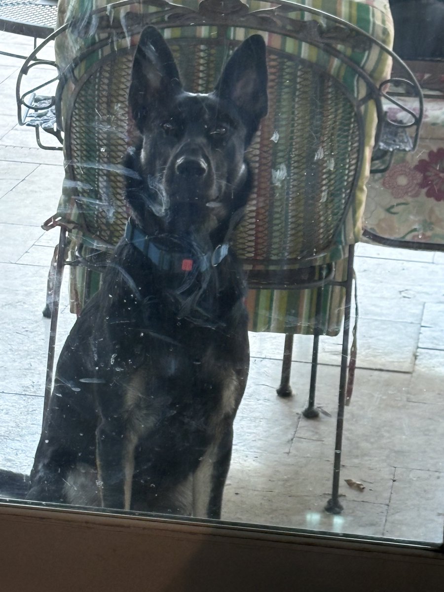 DebinHoSo🇺🇸 tweet media